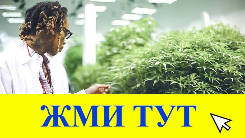 Купить наркотики в Нерчинске